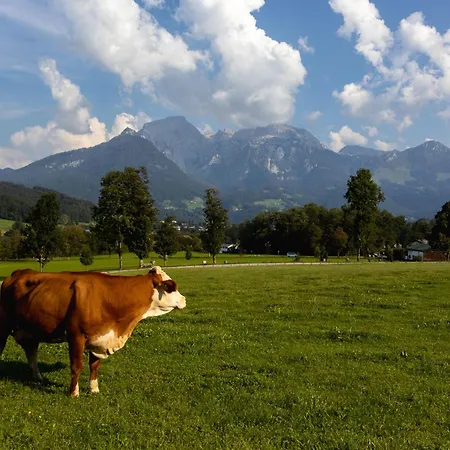 Hirnsberglehen Lejlighed