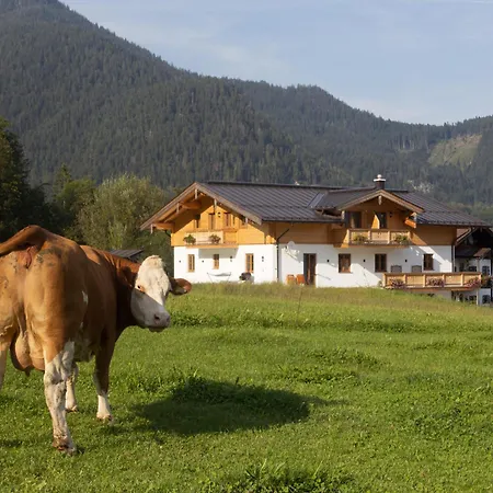 Hirnsberglehen Lejlighed *
