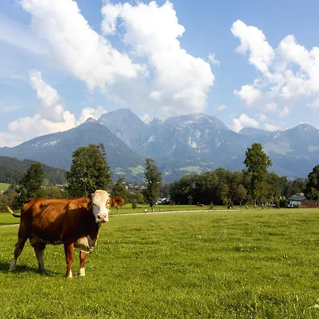 Hirnsberglehen * Bischofswiesen